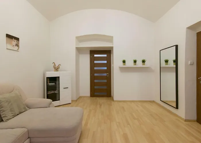Spacious Apartment Near Wenceslas Square
